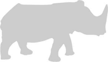 rhinocéros vecteur