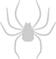 araignée vecteur