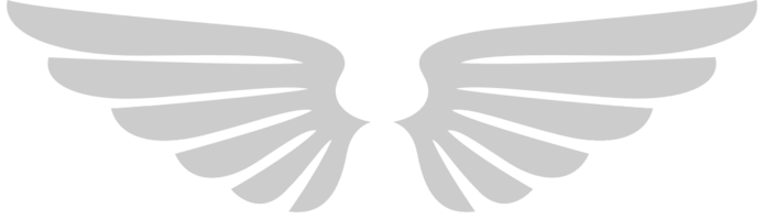 ailes d'anges vecteur