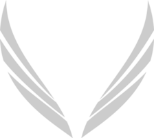 ailes d'anges vecteur