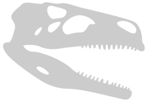 dinosaure crâne vecteur