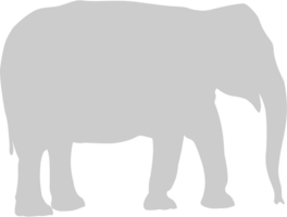 animal causes l'éléphant vecteur
