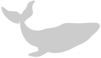 baleine vecteur