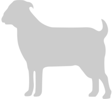 silhouettes chèvre vecteur