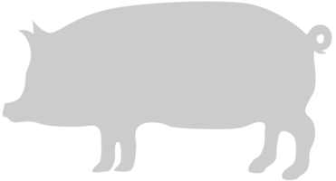 silhouettes porc vecteur