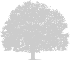 arbre de silhouettes vecteur