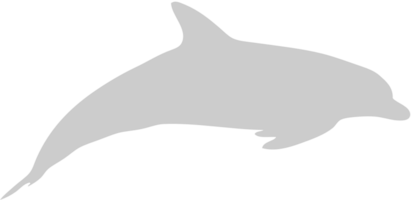 silhouettes dauphin vecteur
