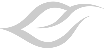 logo tribal vecteur