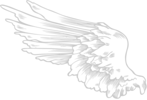 ailes ange vecteur