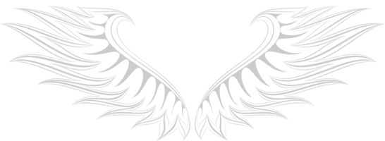 tatouage ailes vecteur