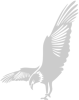 Aigle vecteur