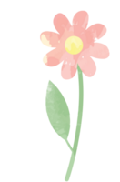 aquarelle fleur vecteur