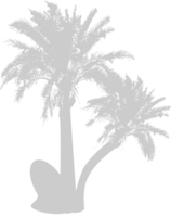 palmier vecteur
