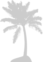 palmier vecteur