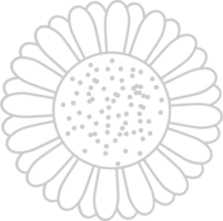 tournesol vecteur