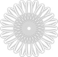 tournesol vecteur