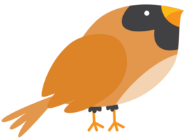 oiseau vecteur