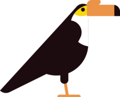 toucan vecteur