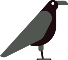 oiseau vecteur