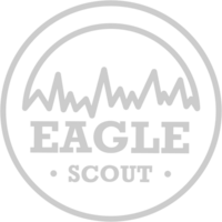 Aigle scout badge vecteur
