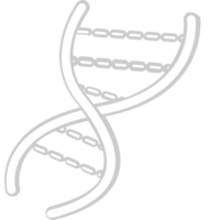 la biologie ADN vecteur