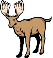 cerf vecteur