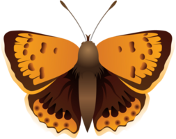 papillon vecteur