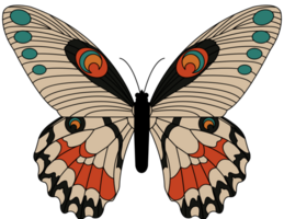 papillon vecteur