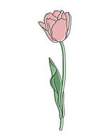 contour tulipe fleur avec pastel Couleur taches ajoutée, ligne art. floral affiche, carte postale, vecteur