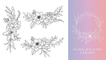 pivoine ligne dessin. floral cadres et bouquets. floral ligne art. bien ligne pivoine cadres main tiré illustration. main tiré contour magnolias. botanique coloration page. pivoine isolé vecteur