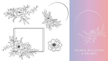 pivoine ligne dessin. floral cadres et bouquets. floral ligne art. bien ligne pivoine cadres main tiré illustration. main tiré contour magnolias. botanique coloration page. pivoine isolé vecteur