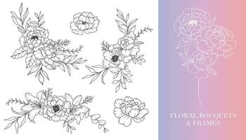 pivoine ligne dessin. floral cadres et bouquets. floral ligne art. bien ligne pivoine cadres main tiré illustration. main tiré contour magnolias. botanique coloration page. pivoine isolé vecteur