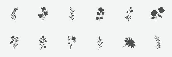 ensemble floral de silhouettes de plantes et de fleurs vecteur