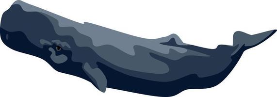 vecteur animal poisson baleine