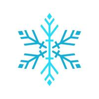 flocon de neige logo icône vecteur