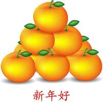 mandarin des oranges sur blanc Contexte pour chinois Nouveau année carte vecteur