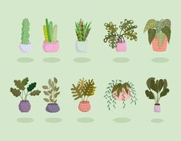 définir diverses plantes d'intérieur vecteur