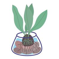 plante d'intérieur dans l'eau vecteur