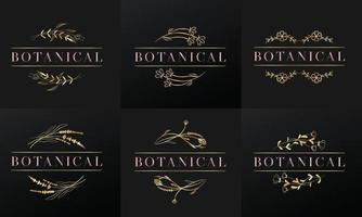 cadre botanique et floral doré dessiné à la main pour logo botanique vecteur