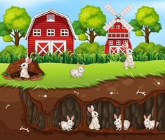 Rabbit House Underground la ferme vecteur