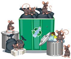 Des rats cherchant de la nourriture dans des poubelles vecteur