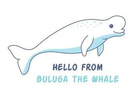 béluga baleine illustration de une mignonne mer animal, océan habitant vecteur
