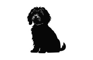 cockapoo chien vecteur noir silhouette isolé sur une blanc Contexte