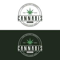 prime qualité cannabis biologique plante logo rétro ancien modèle conception. vecteur