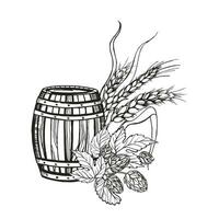 main tiré vecteur esquisser de en bois baril pour vin, bière, whisky, saut plante et oreilles de blé, noir et blanc illustration de bois chêne tonnelet et blé usine, encré illustration isolé