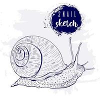 vintage animal escargot marin sketch.retro line style.hand drawn illustration sous-marine.vector. vecteur