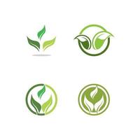 logos de l'écologie des feuilles d'arbre vert vecteur