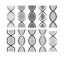 ADN structure icône ensemble. structure molécule et cellule, chromosome. génétique ingénierie. vecteur Stock illustration