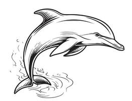 esquisser dauphin dessin animé icône griffonnage sauter vecteur main tiré