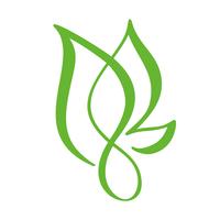 Logo de feuille verte de thé. Icône de vecteur élément nature écologie. Illustration de dessinés à la main de calligraphie bio Vegan bio